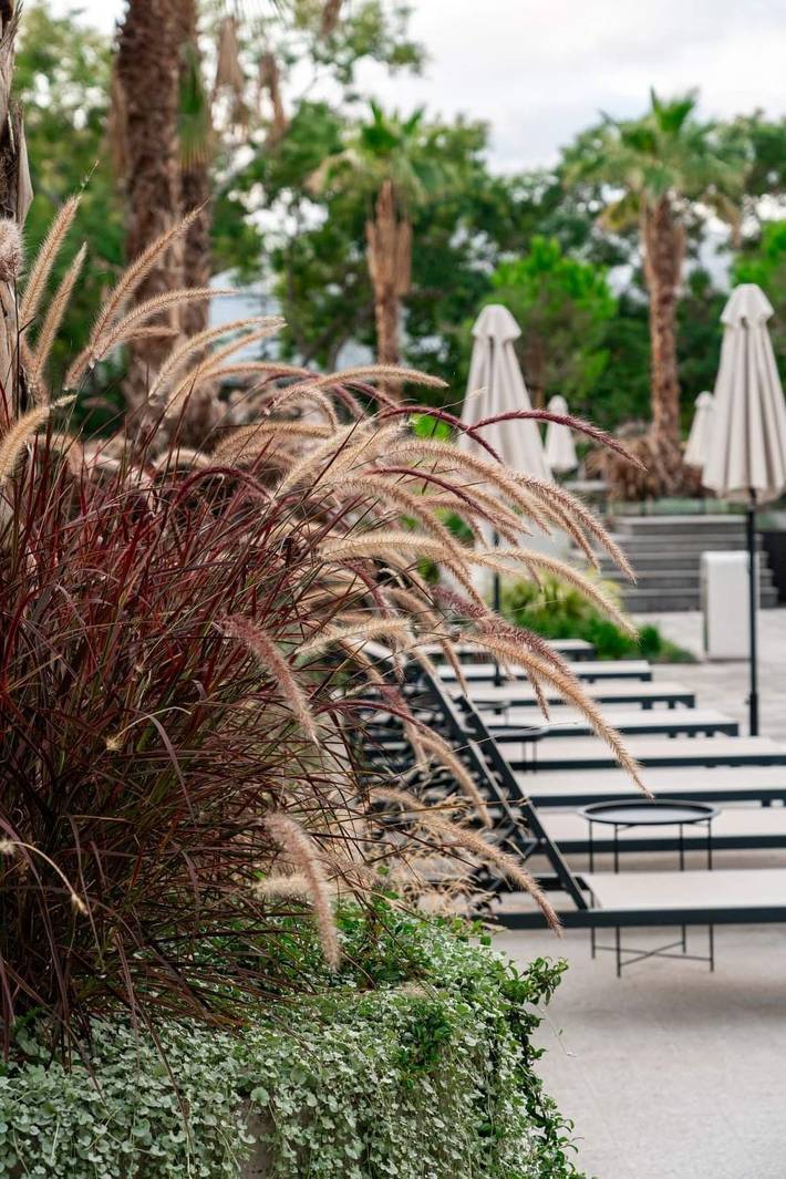 Gîte pour 3 personnes, avec jardin, animaux acceptés à Varna (Bulgarie) - 3