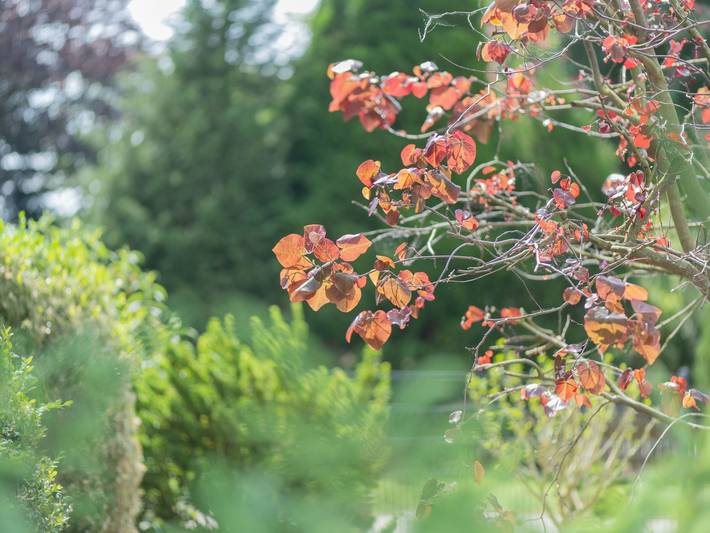 Ferienwohnung für 5 Personen, mit Terrasse und Garten, kinderfreundlich in Hesel - 4