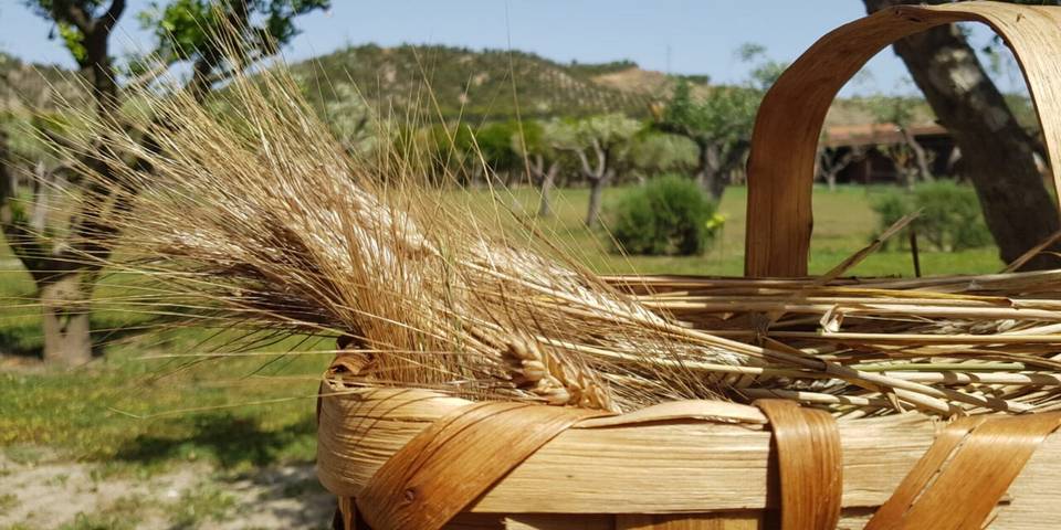 La Mandragola Relais - Il Torchio 1 in Crotone, Provincia di Crotone