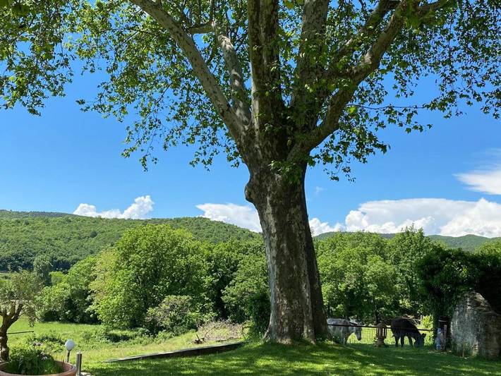 Location de vacances pour 6 personnes, avec jardin et vue à Le Poët-Laval - 3