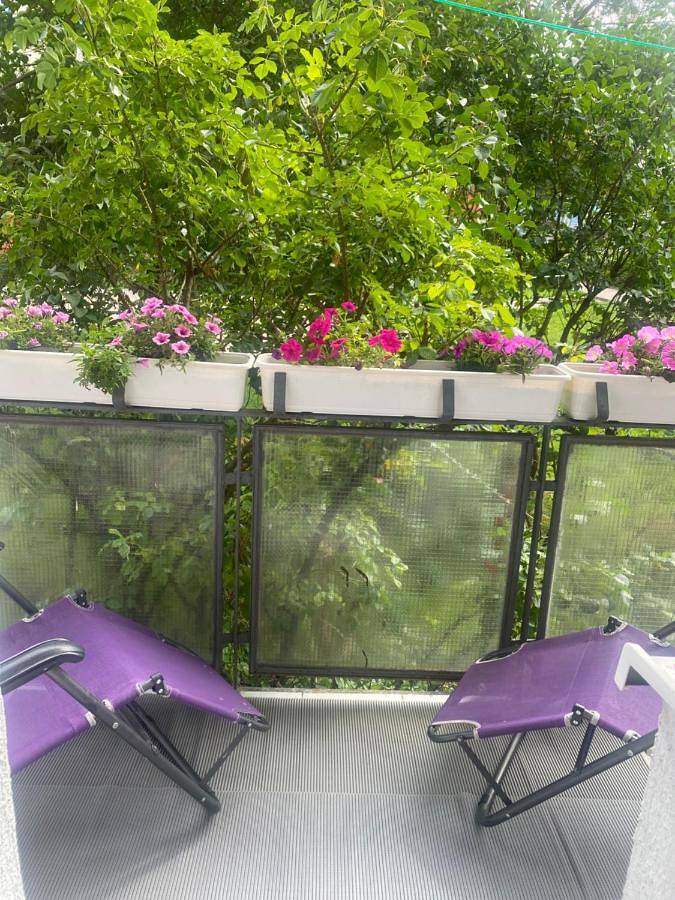 Apartament wakacyjny dla 6 osób, z taras w Koszalin