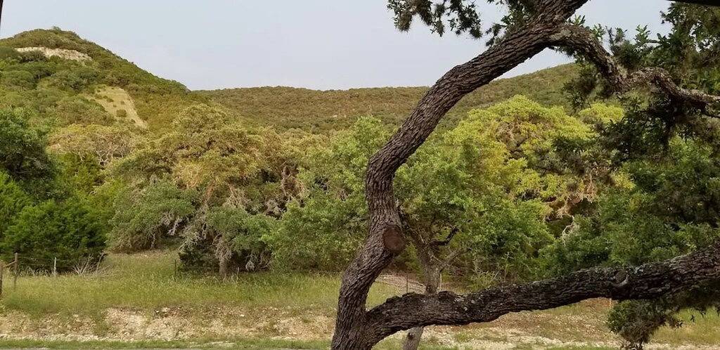 Hill Country Gem in der Lost Maples Region! in Real County