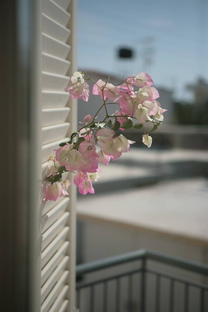 Gîte pour 4 personnes, avec jardin et balcon dans Myrtos - 4