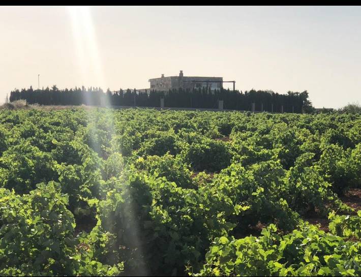 Chalet para 8 personas, con jardín además de jacuzzi y piscina en Provincia de Albacete - 3