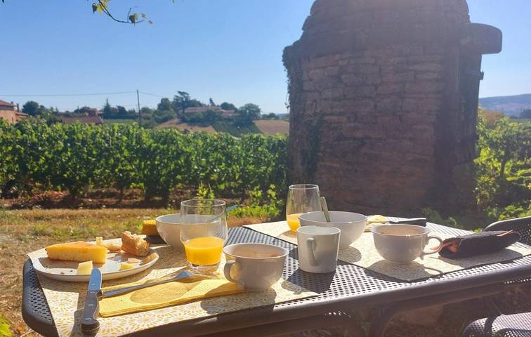 Chambre d’hôte pour 2 personnes, avec jardin dans Rhône - 2