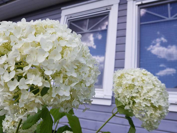 Ferienhaus für 6 Personen, mit Terrasse und Garten sowie Sauna