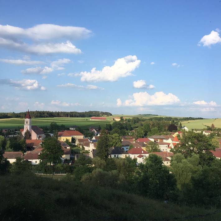 Sonnenhof Wildkatta Frühstückspension - Dietrich - Der Herrscher in Raabs an der Thaya, Waldviertel