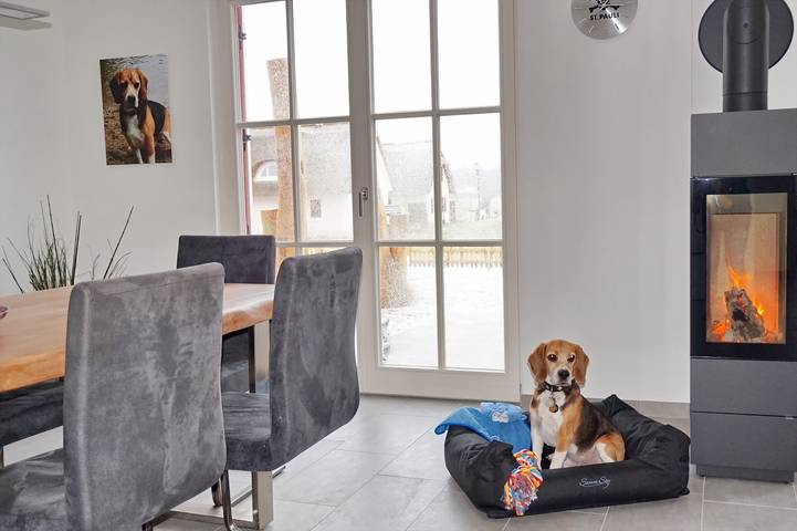 Ferienhaus für 8 Personen, mit Terrasse und Garten sowie Sauna, kinderfreundlich in Wismarer Bucht - 3