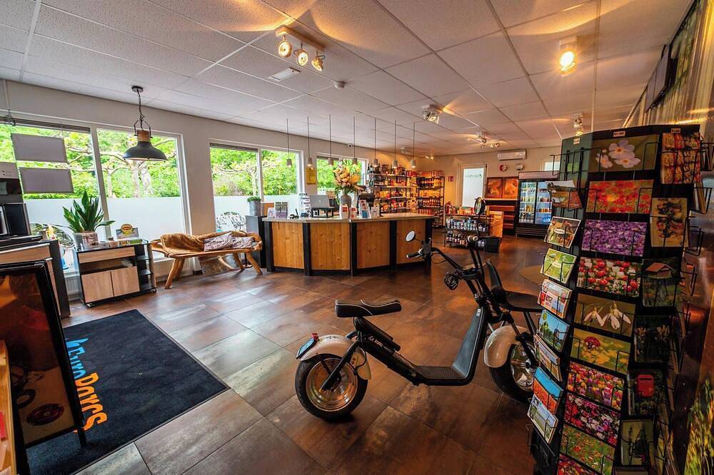 Studio met woon-slaapkamer en 2 eenpersoonsbedden in Hoge Veluwe