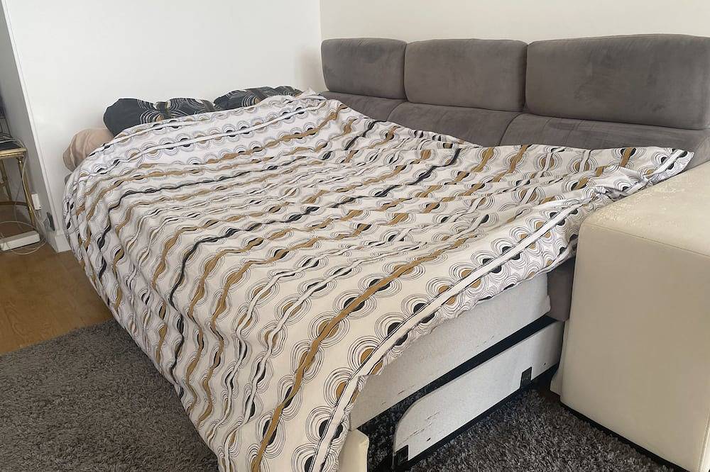 Entire apartment, Logement à 15 Minutes de Paris in Meudon, Hauts-de-Seine