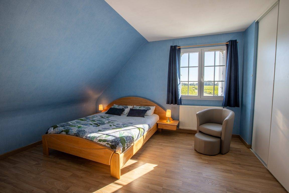 Pavillon du Château le Moulin Neuf in Saint-Nicolas-de-Bourgueil, Vallée de la Loire