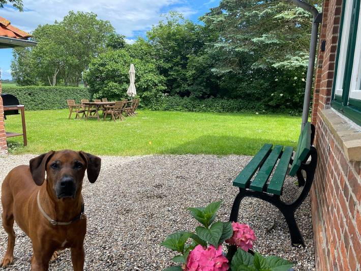 Ferienhaus für 8 Personen, mit Garten, kinderfreundlich in Lensahn - 3