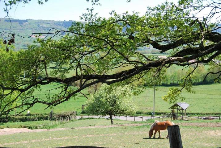 Maison de campagne pour 4 personnes, avec terrasse et vue à Montagny-sur-Grosne