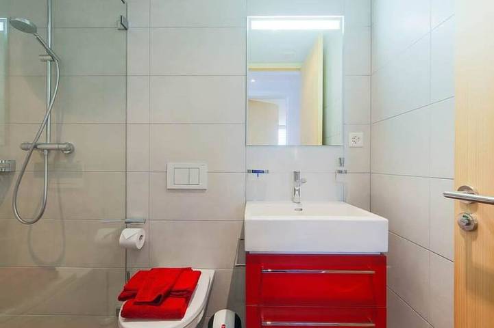 Ganze Wohnung, Apartmenthaus Riederhoru A 1. Og Ost Appartement/Fewo, Dusche und Bad, Wc, 2 Sch in Riederalp, Aletsch Arena