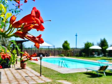 Agriturismo voor 20 Personen in Cortona, Provincie Arezzo, Afbeelding 4