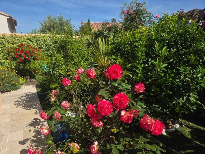 Chambre d’hôte pour 2 personnes, avec piscine ainsi que jardin et vue, animaux acceptés à La Londe-les-Maures - 2