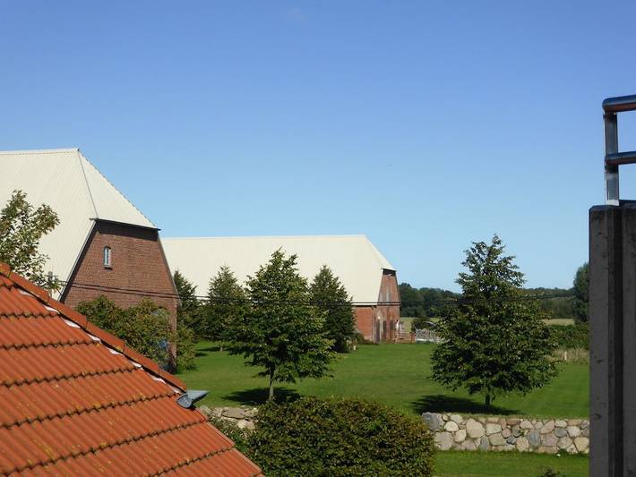 Ferienhaus für 5 Personen, mit Pool und Garten sowie Sauna, mit Haustier in Dassow - 3