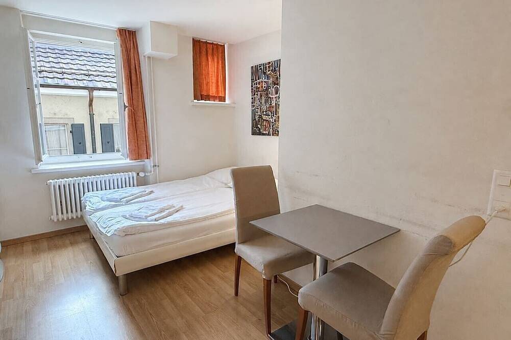 Appartement entier, Cozy Studio in the Heart of Zurich in Zurich, District de Zurich