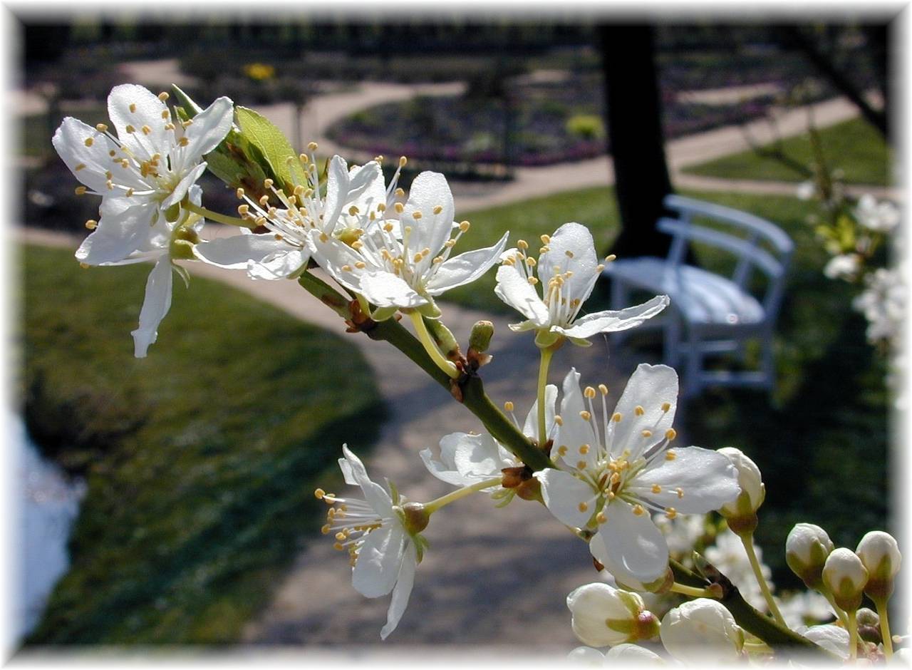 Ganze Ferienwohnung, Haus Wattenblick Og in Sylt-Ost, Sylt (Gemeinde)