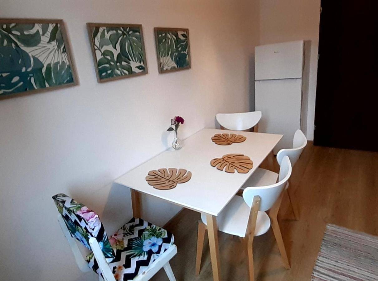 Lemuria Hostel Szkolna centrum in Legnica, Dolny Śląsk