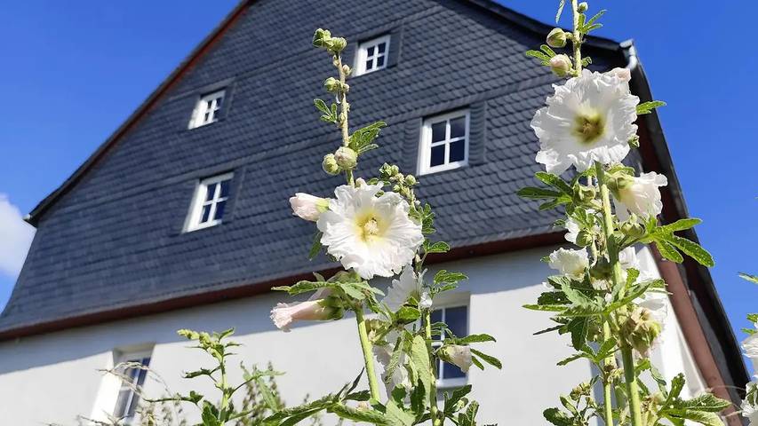 Ferienhaus für 6 Personen, mit Garten