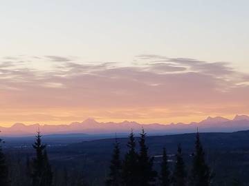 Hütte für 2 Personen in Fairbanks, Alaska, Bild 2