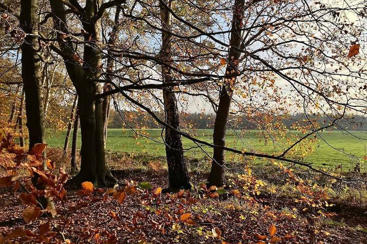 Bauernhof für 4 Personen, mit Balkon in Graal-Müritz - 3