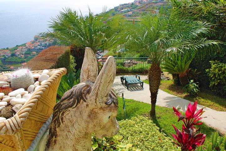 Location de vacances pour 6 personnes, avec terrasse à Câmara de Lobos - 2