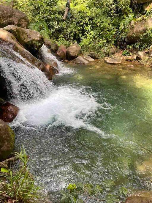 Gîte pour 6 personnes, avec terrasse dans La Soufrière - 4
