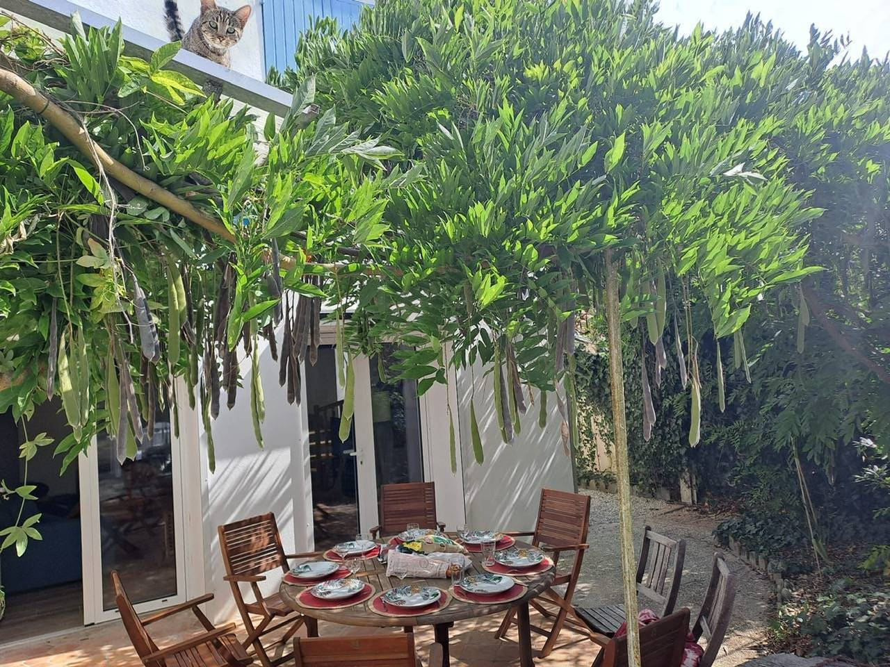 Villa cerca del mar, jardín - 10 pers. in Saint-Trojan-les-Bains, Côte de Beauté