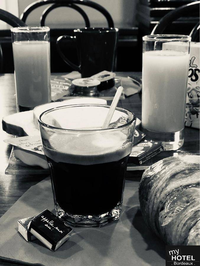 Hôtel pour 2 personnes, animaux acceptés à Artigues-près-Bordeaux - 4