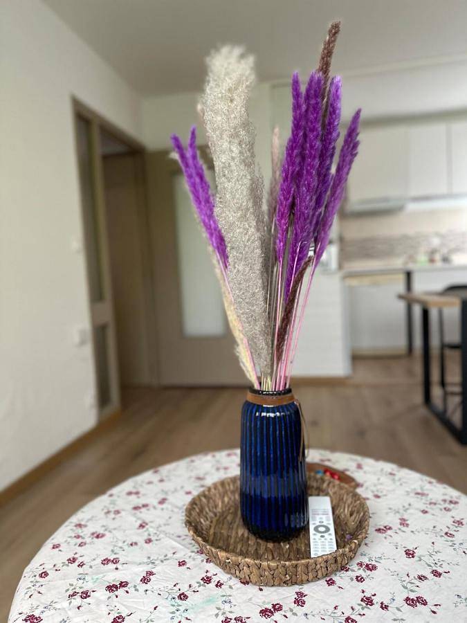 Gîte pour 4 personnes, avec terrasse ainsi que jardin et vue dans Cinema Cameo Commanderie Nancy - 2