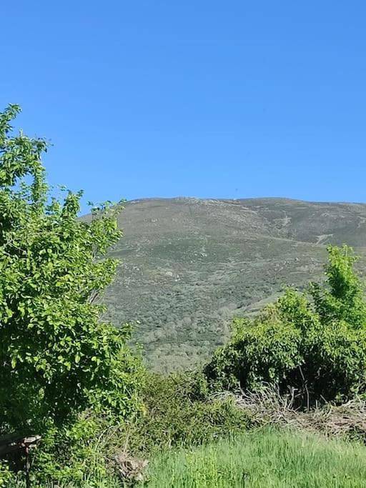 Location de vacances pour 3 personnes, avec terrasse et vue, animaux acceptés à Piedrahíta - 4