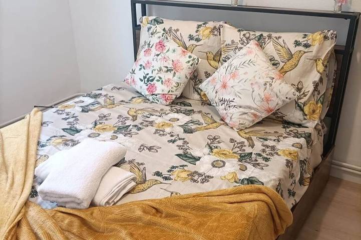 Gîte pour 4 personnes, avec balcon et jardin à Choisy-le-Roi - 2