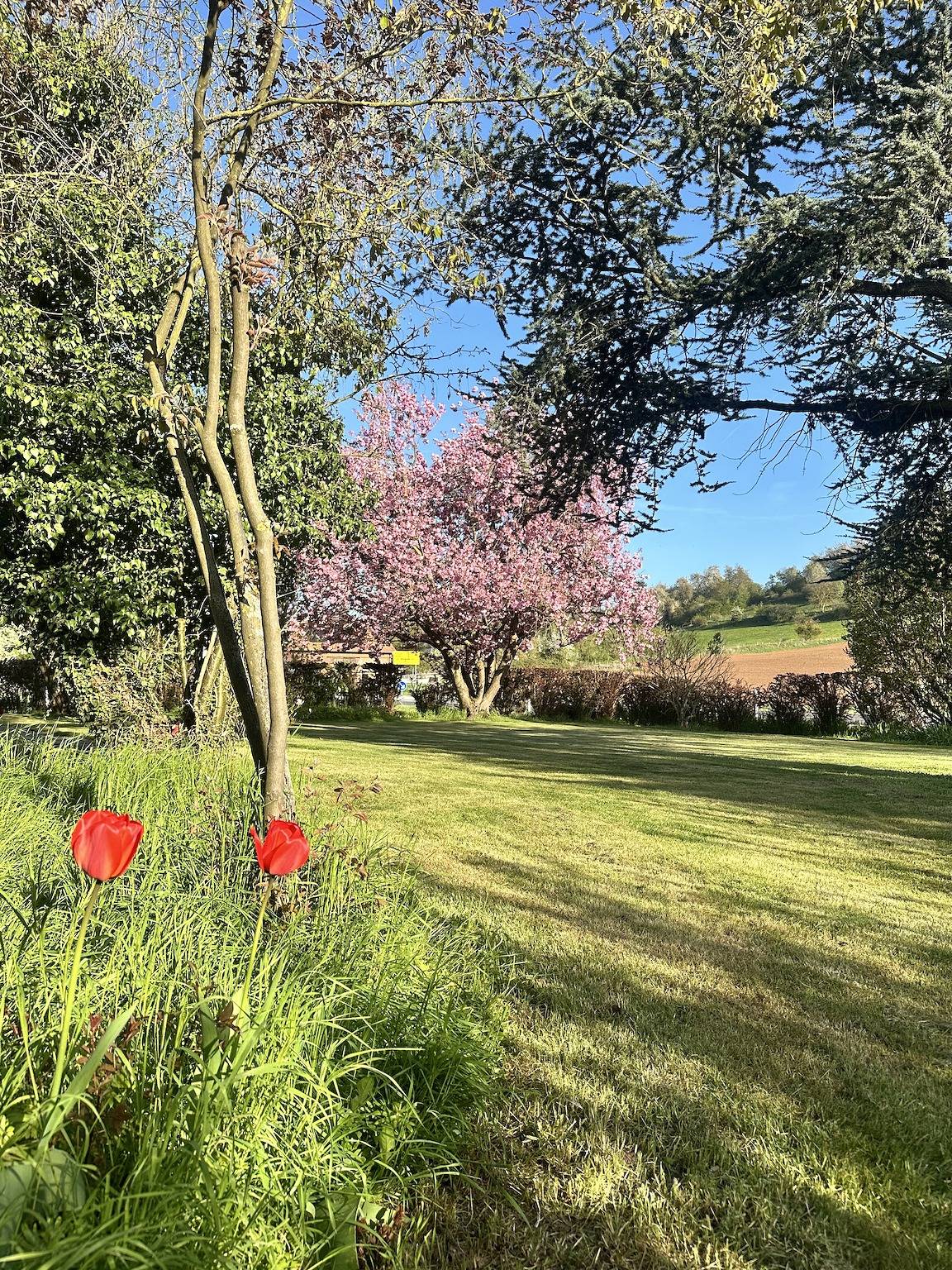 Ferienhaus 'Leni' mit gemeinsamer Terrasse und Garten in Edertal, Waldecker Land