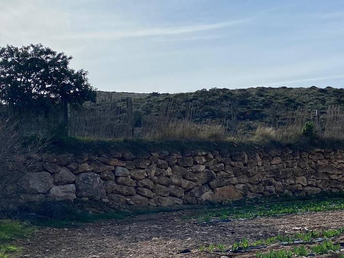 Casa de vacaciones para 6 personas, con Terraza además de Jardín y Vistas en Cabo de Gata - 4