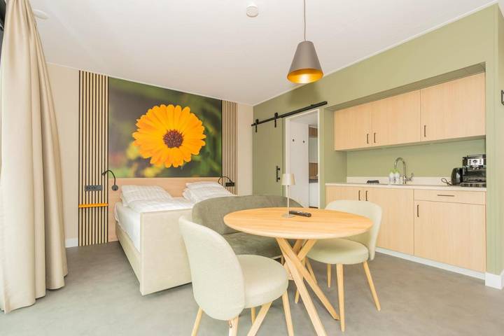 Hotel für 2 Personen, mit Terrasse und Whirlpool sowie Garten und Sauna in Ellemeet - 4