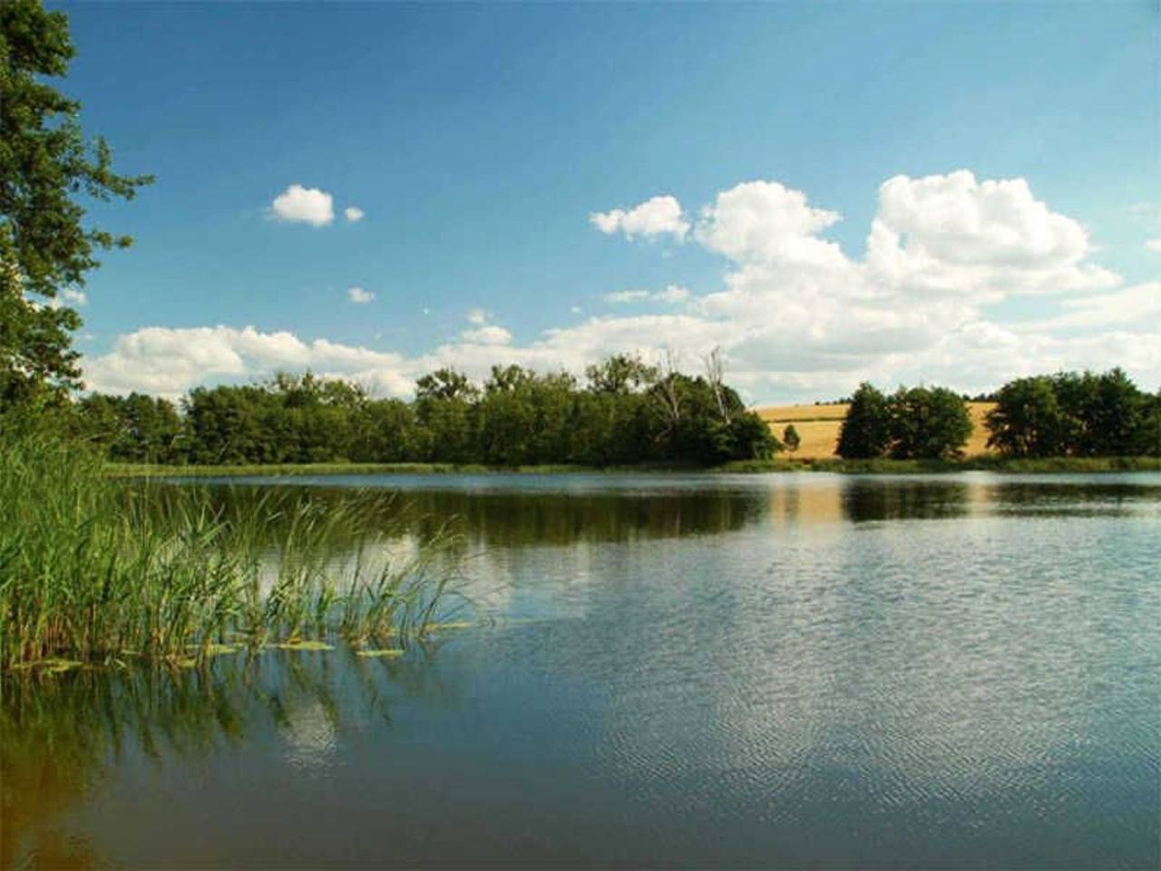 Ganze Ferienwohnung, Ich weiß ein Haus am Wald... - Ferienwohnung Gänseblümchen in Malchin, Kummerower See
