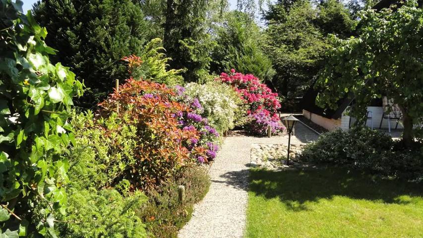 Ferienhaus für 4 Personen, mit Garten, mit Haustier in der Lüneburger Heide - 3