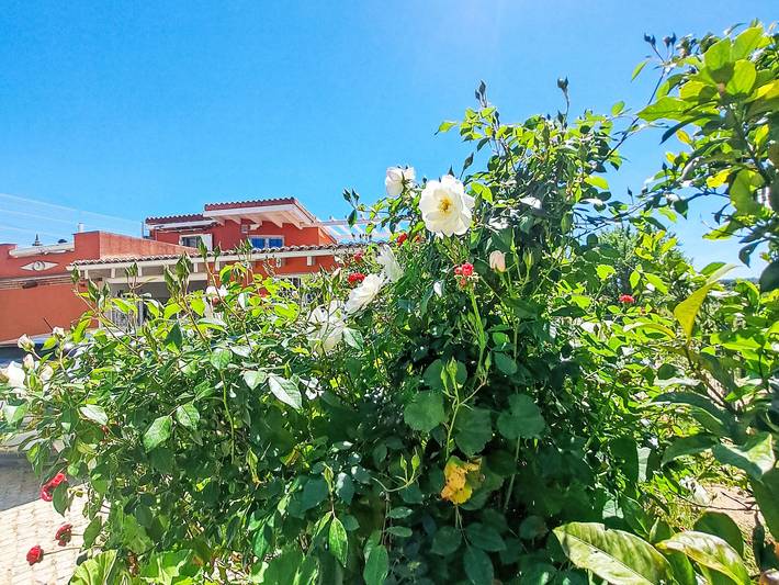 Casa de férias para 6 pessoas, com Terraço e Jardim em Algoz