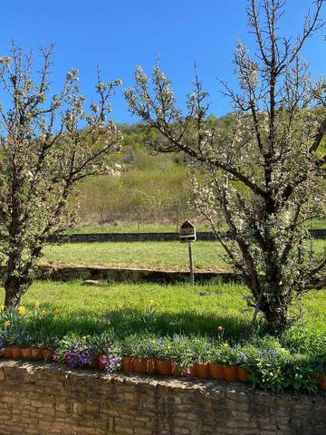 Location de vacances pour 5 personnes, avec jardin à Frouard