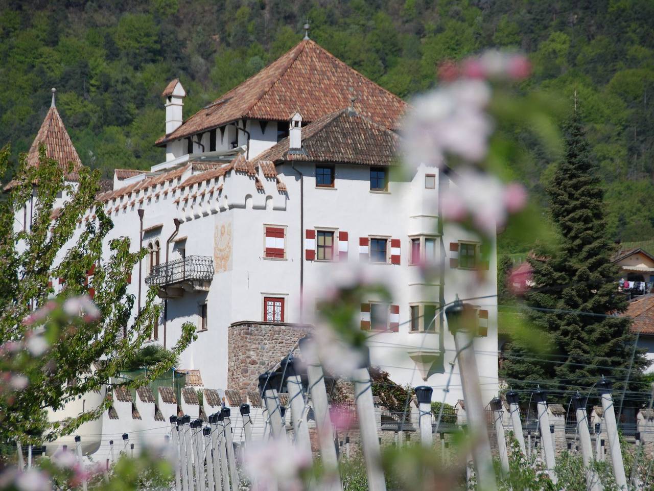 Ganze Ferienwohnung, Residence Schloss Paschbach - Appartment in St. Michael, Eppan an der Weinstraße