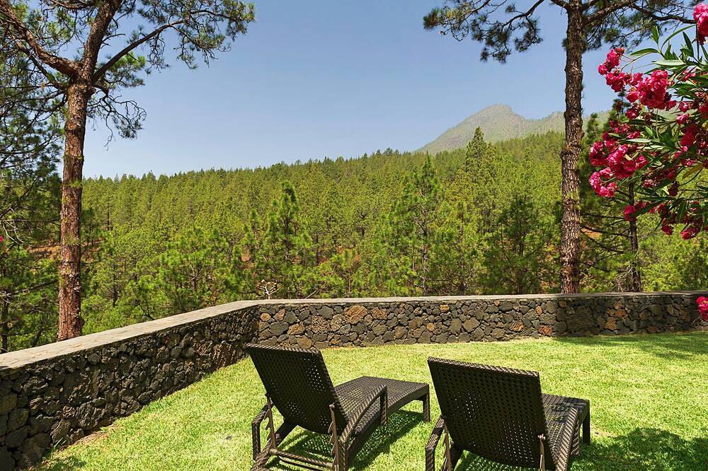 Idyllic volcanic stone chalet in a pine grove on the edge of the national park in El Paso (La Palma), La Palma South