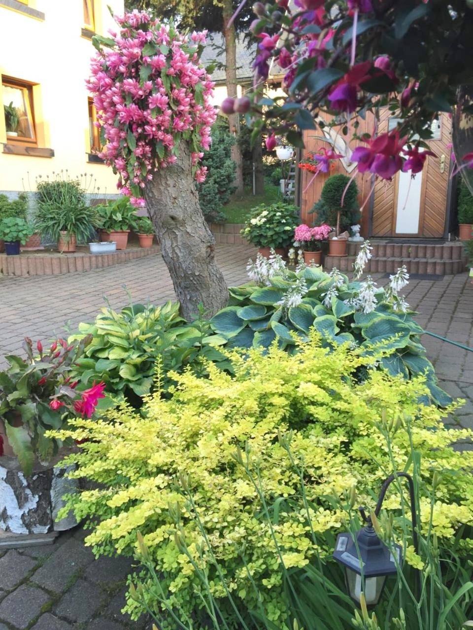 Holiday Home in Neuhausen/Erzgebirge, Chemnitz und Umgebung