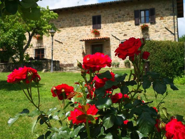 Location de vacances pour 3 personnes, avec piscine ainsi que vue et jardin à Pieve Fosciana - 4