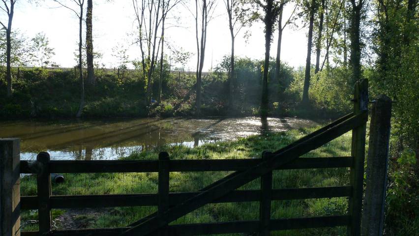 Gîte pour 6 personnes à Ver (homonymie) - 4