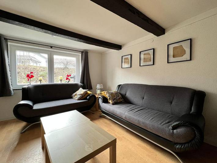 Ferienhaus für 15 Personen, mit Garten, mit Haustier in Olsberg - 4