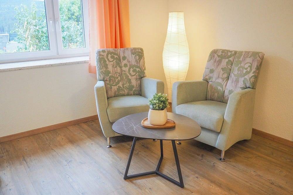 Geheel appartement, Appartement in Erzgebergte bij Skibanen in Rittersgrün, Breitenbrunn/Erzgeb.