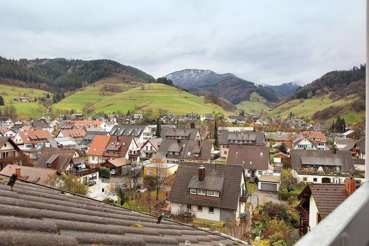 Ferienwohnung für 3 Personen, mit Balkon in Münstertal - 4