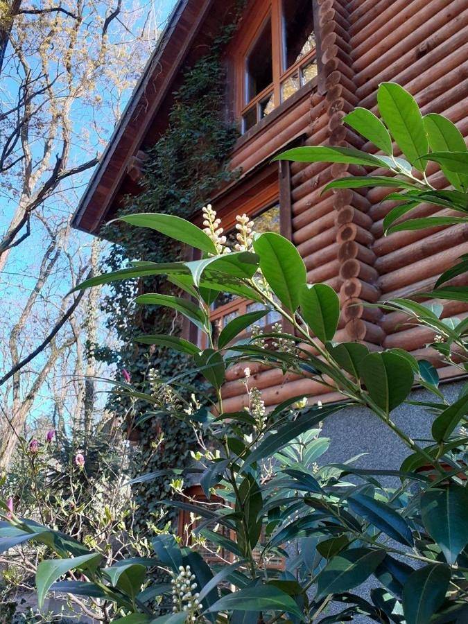 Ferienhaus für 13 Personen, mit Ausblick und Seeblick sowie Garten in Königs Wusterhausen - 2